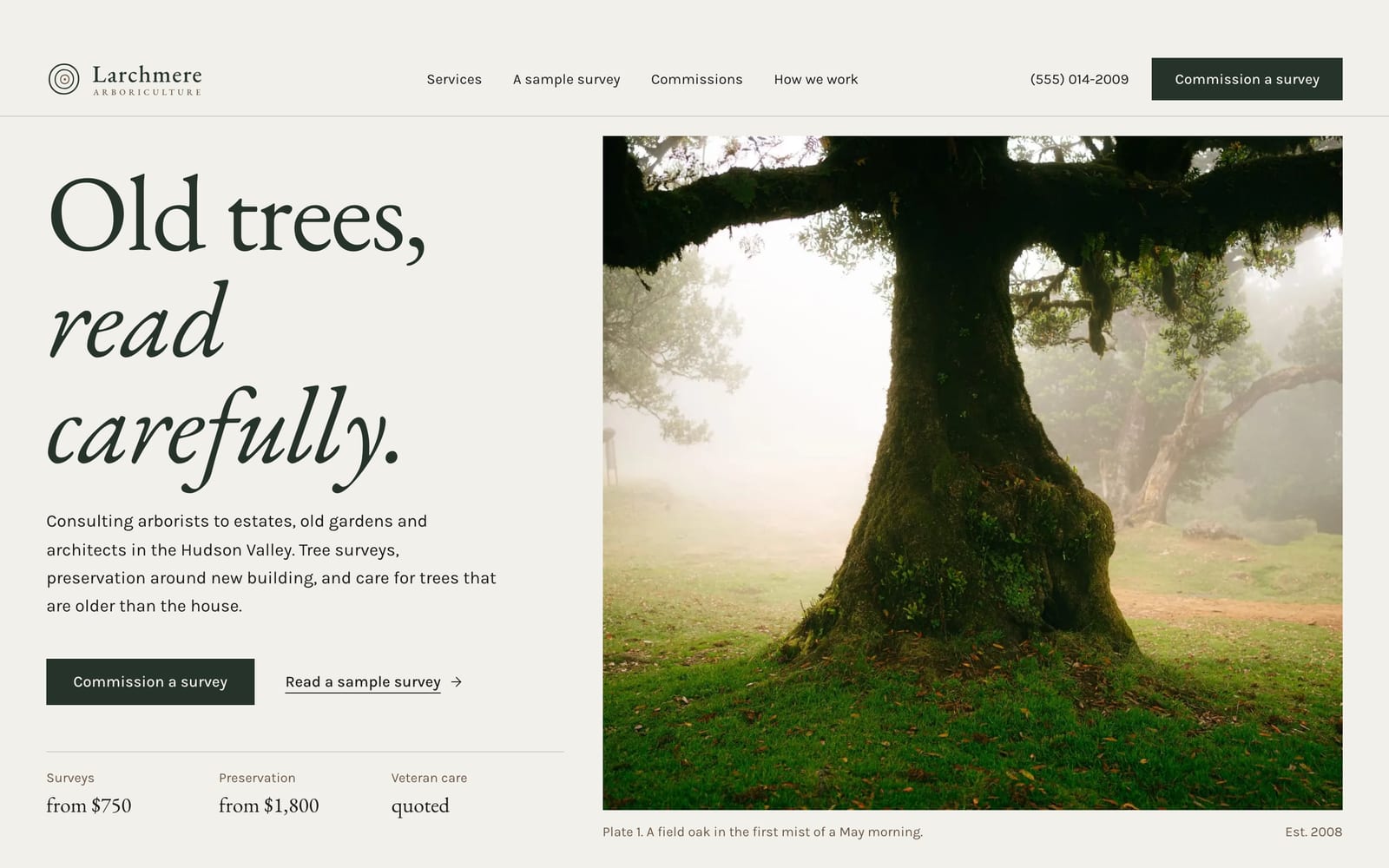 Tree service company website design: Larchmere Arboriculture home page, premium design-led style