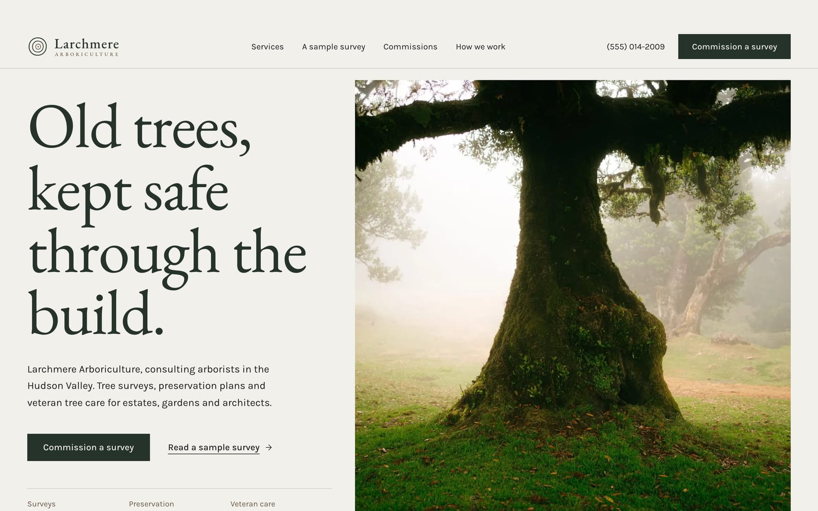Tree service company website design: Larchmere Arboriculture home page, premium design-led style