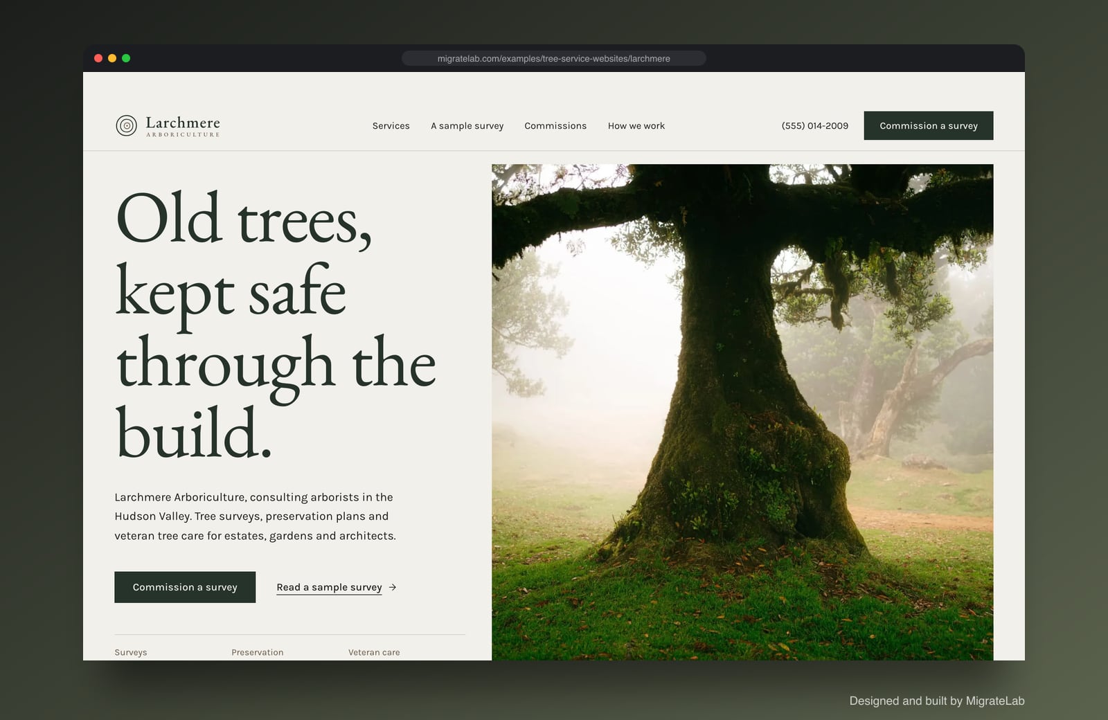Tree service company website example by MigrateLab: Larchmere Arboriculture, a premium design-led design shown in a browser