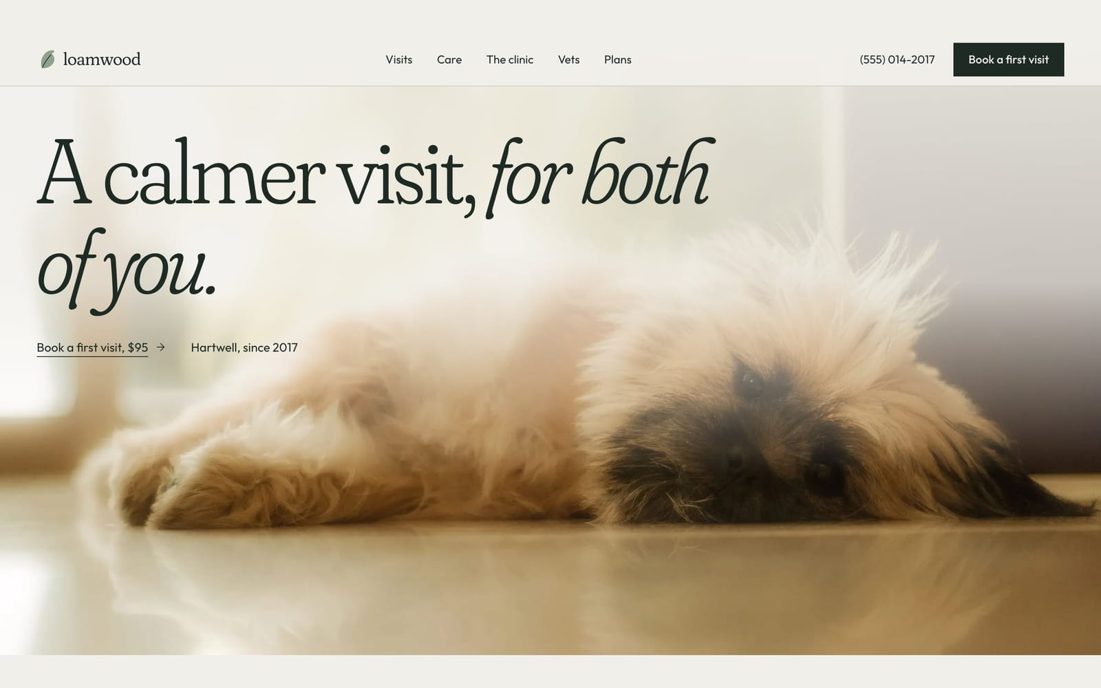 Veterinary clinic website design: Loamwood Veterinary Clinic home page, premium design-led style